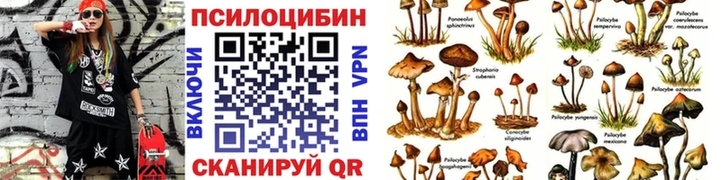 Галлюциногенные грибы Magic Shrooms  Лодейное Поле 